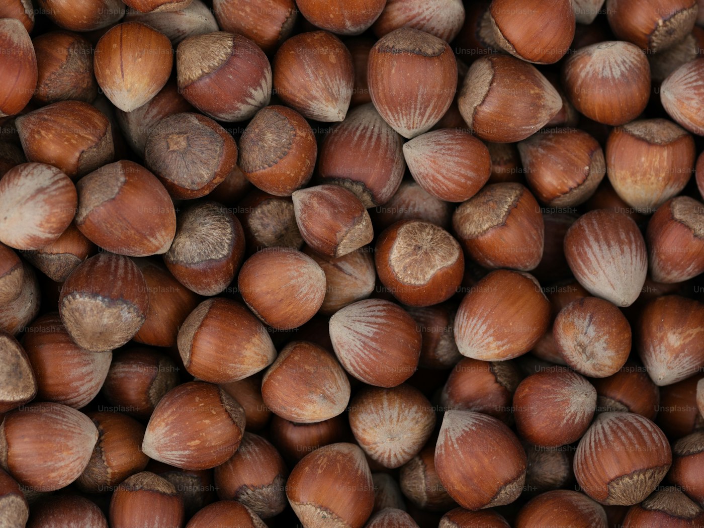 Hazelnuts
