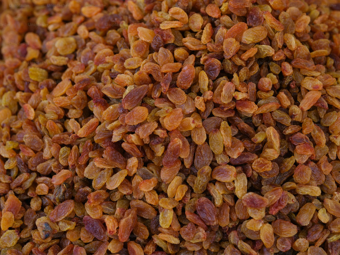 Raisins Indian Round