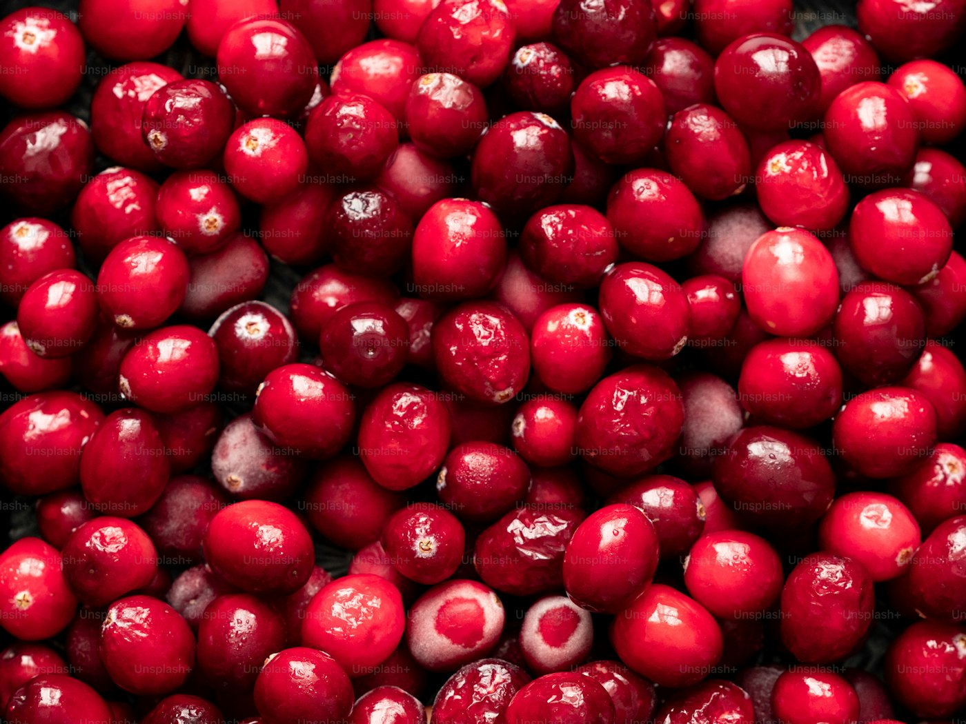 Dry Cranberry