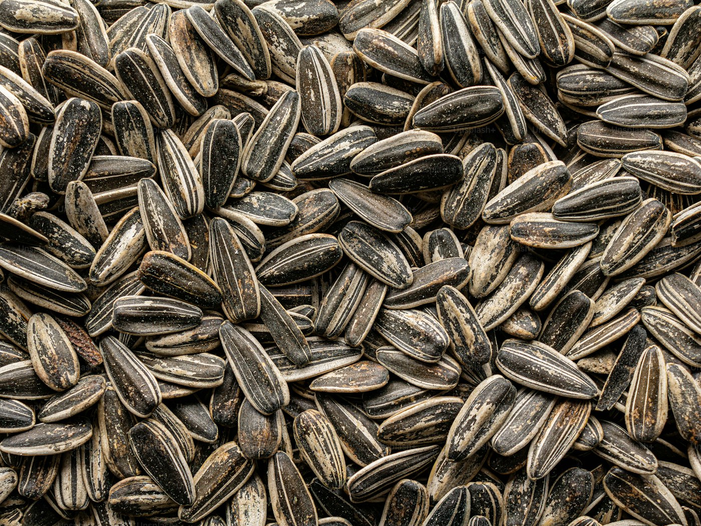 Sunflower Seeds