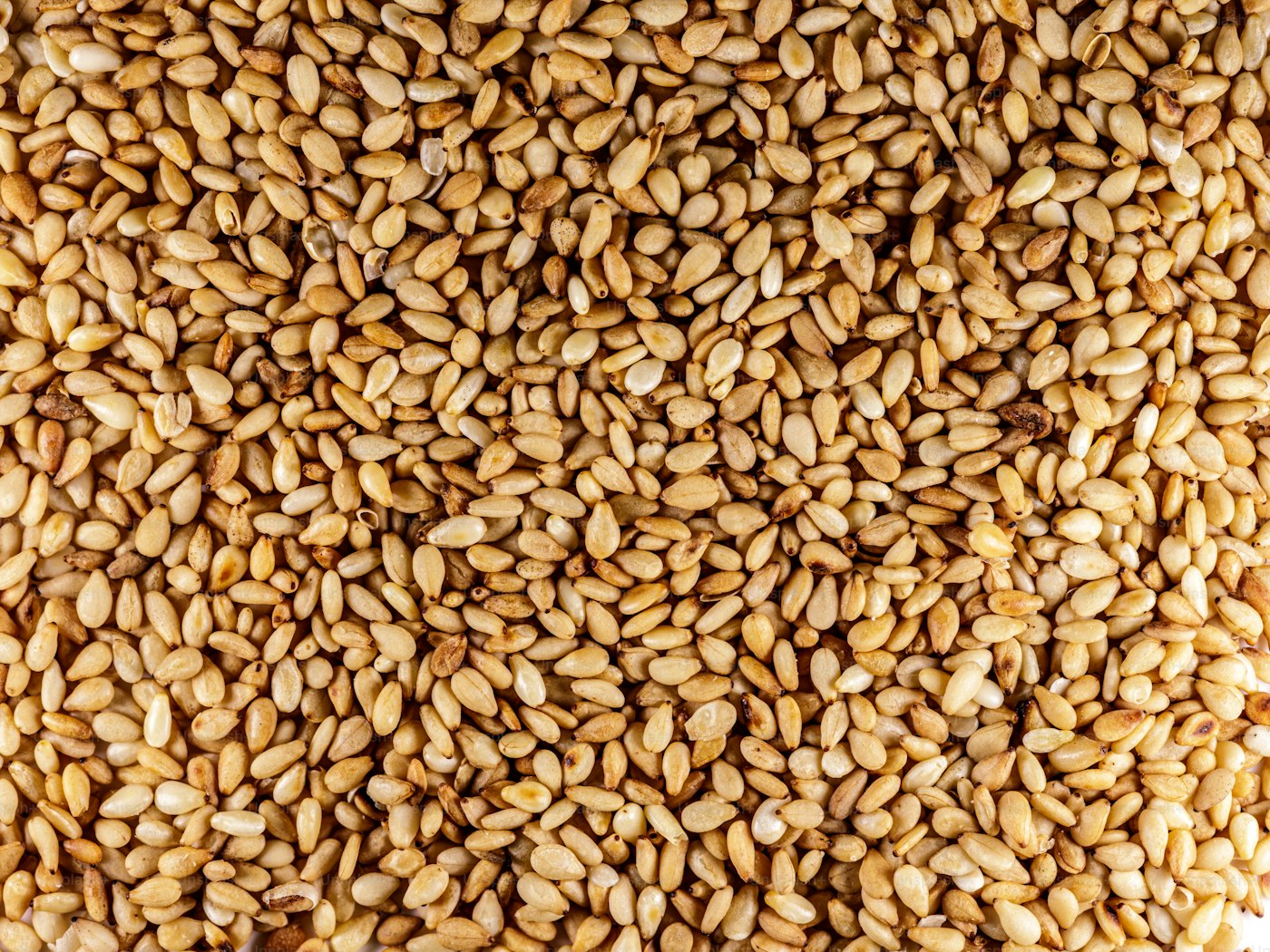 Flax Seeds